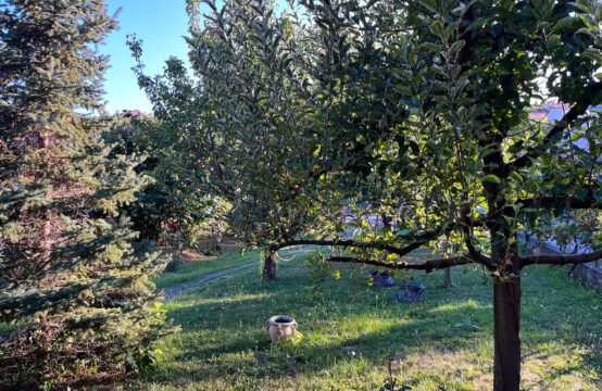 BARUTANSKI JARAK, KUĆA/STAN 2-SOBAN, DVORIŠTE***BEZ PROVIZIJE!!!***