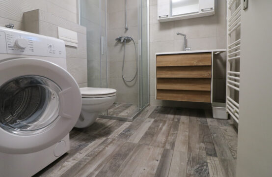 LAŠĆINA, MANJI STAN U OBITELJSKOJ KUĆI ***BEZ PROVIZIJE!!!***