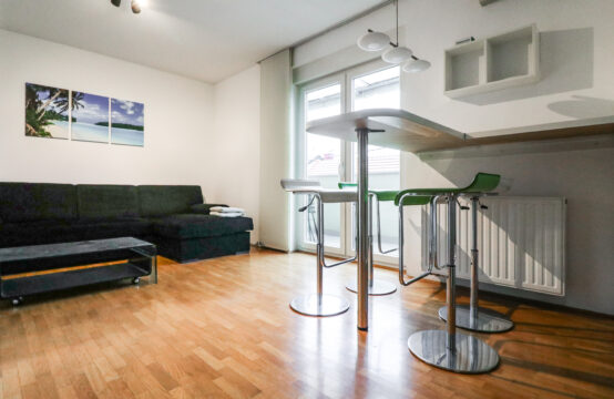 SREDNJACI, UREĐEN 1-SOBAN S VPM I  UKLJ. REŽIJAMA!!!***BEZ PROVIZIJE!!!***