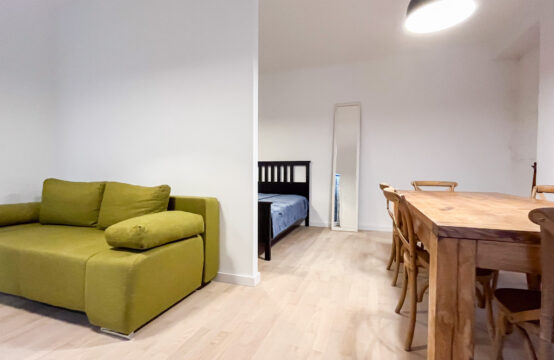 CENTAR, UREĐEN 1-SOBAN STAN NA TOP LOKACIJI***BEZ PROVIZIJE!!!***