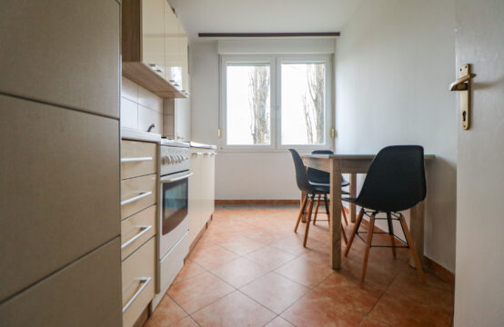 BORONGAJ, RENOVIRAN 1-SOBAN STAN ***BEZ PROVIZIJE!!!***