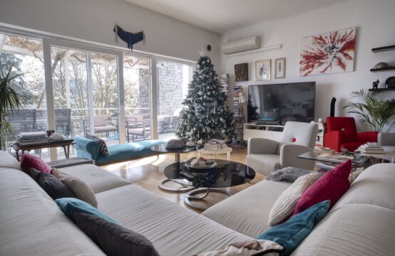 GRAČANI, PREKRASNA MODERNA KUĆA I APARTMAN