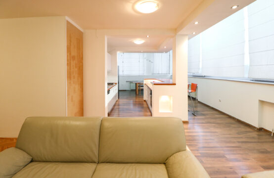 ZAVRTNICA, ATRAKTIVAN 4-SOBAN PENTHOUSE ***BEZ PROVIZIJE!!!***